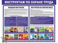 Вводный инструктаж по охране труда: Плакат по безопасности