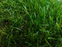 Искусственная трава арт. 35 GRASS ТР