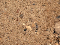 Песчано-гравийная смесь (ПГС) (стоимость за машину 10 м3)
