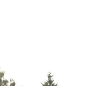 Покупаем б/у силовые трансформаторы любых мощностей